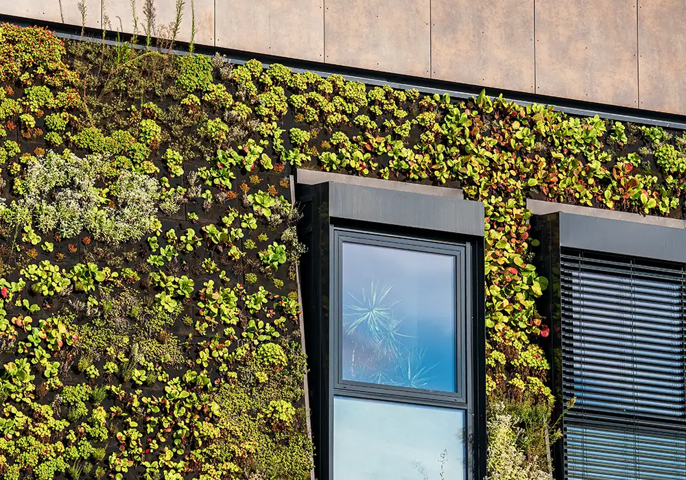 Fassade mit vertikalem Garten aus vielen kleinen Pflanzen, daneben moderne Fenster mit dunklen Rahmen.