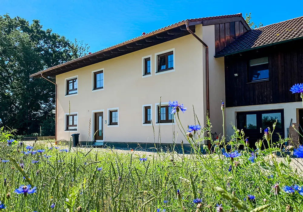 Zweifarbiges Wohnhaus mit Wildblumenwiese im Vordergrund, bei sonnigem Wetter vor Bäumen fotografiert.
