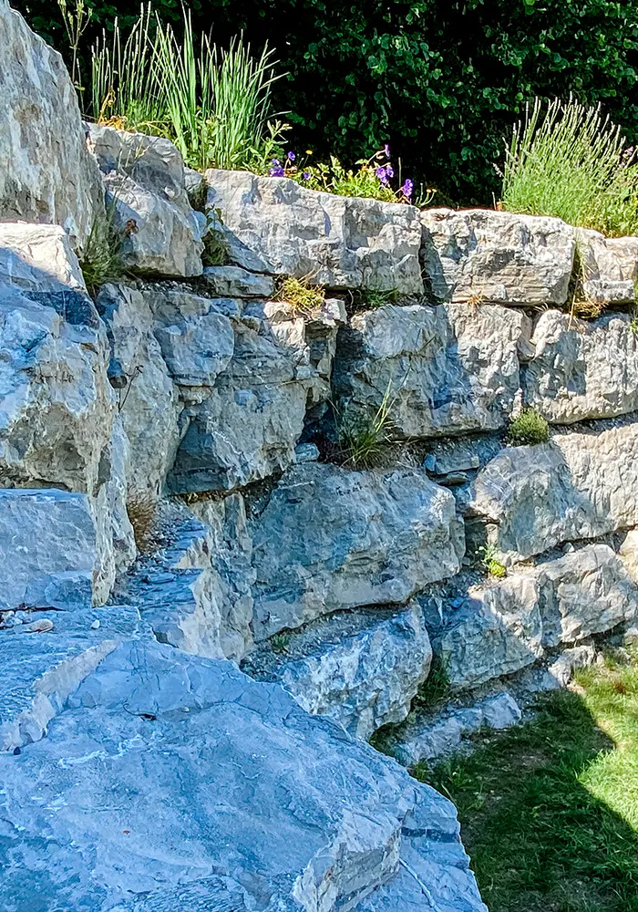 Natursteinmauer mit groben Kalksteinblöcken, teils bepflanzt mit Gräsern und Blumen am oberen Rand.